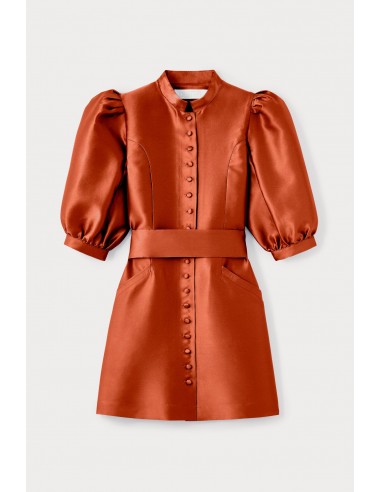 Terracotta Satin Puff Sleeve Mini Dress Faites des économies