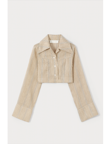 BEIGE Striped Cropped Shirt la chaussure