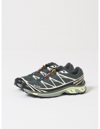 XT-6 Gore-Tex, Urban Chic/Black/Lime Livraison rapide